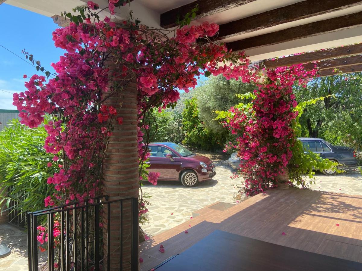Villa Zahar Periana Екстер'єр фото